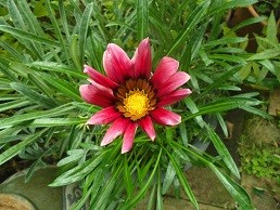 f:id:cangael:20160630155228j:image:right