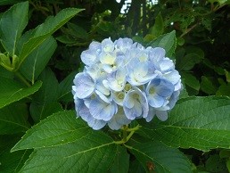 f:id:cangael:20160701111351j:image:right