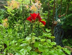 f:id:cangael:20160710082422j:image:right