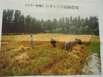 f:id:cangael:20160712135456j:image