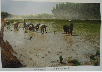 f:id:cangael:20160712135501j:image