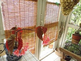 f:id:cangael:20160718122211j:image:right