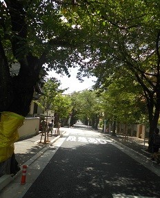 f:id:cangael:20160720113914j:image:right