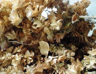 f:id:cangael:20160721084740j:image:right f:id:cangael:20160721084740j:image:right