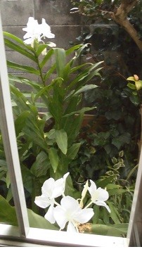 f:id:cangael:20160916061954j:image:right