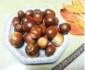 f:id:cangael:20160928152805j:image:right f:id:cangael:20160928152805j:image:right