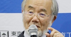 f:id:cangael:20161004170808j:image:left