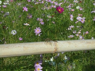 f:id:cangael:20161006143251j:image f:id:cangael:20161006143251j:image