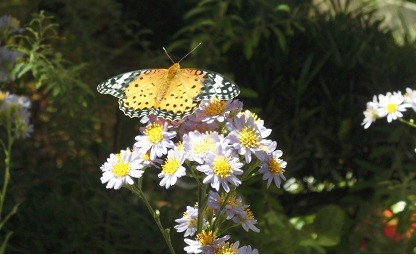 f:id:cangael:20161010111346j:image f:id:cangael:20161010111346j:image