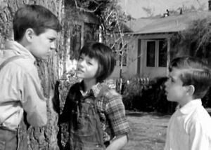 f:id:cangael:20161013134300j:image:right