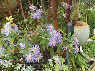 f:id:cangael:20161117102133j:image