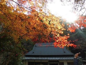 f:id:cangael:20161122125829j:image
