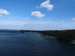 f:id:cangael:20170105112001j:image