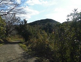 f:id:cangael:20170105121713j:image:left