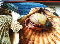 f:id:cangael:20170105132137j:image:left