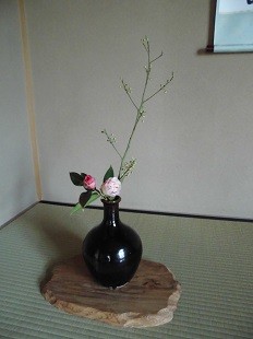 f:id:cangael:20170224135108j:image