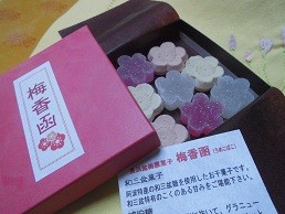 f:id:cangael:20170310162550j:image:right