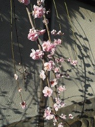 f:id:cangael:20170311155217j:image:right