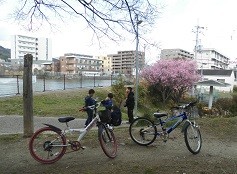 f:id:cangael:20170322151513j:image:right f:id:cangael:20170322151513j:image:right