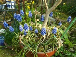 f:id:cangael:20170403154949j:image