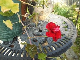 f:id:cangael:20170403155013j:image:left