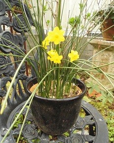 f:id:cangael:20170406071635j:image