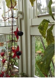 f:id:cangael:20170406072008j:image:right f:id:cangael:20170406072008j:image:right