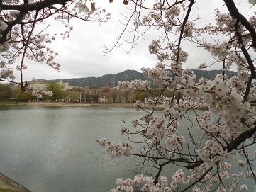 f:id:cangael:20170409143517j:image f:id:cangael:20170409143517j:image