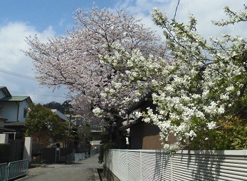 f:id:cangael:20170413133334j:image:right f:id:cangael:20170413133334j:image:right