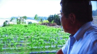 f:id:cangael:20170416162556j:image:right