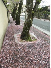 f:id:cangael:20170418111306j:image:left