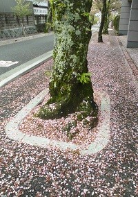 f:id:cangael:20170418111325j:image:right