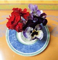 f:id:cangael:20170419081857j:image:left f:id:cangael:20170419081857j:image:left