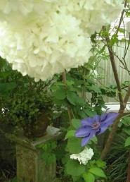 f:id:cangael:20170506055721j:image:right