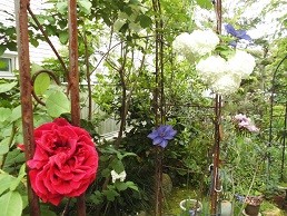 f:id:cangael:20170506055819j:image:right