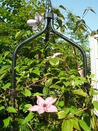 f:id:cangael:20170512075324j:image:left