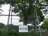 f:id:cangael:20170515142216j:image:left