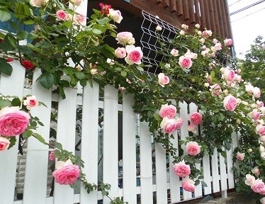 f:id:cangael:20170515142339j:image