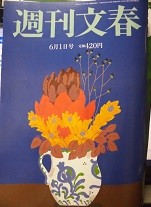 f:id:cangael:20170525143254j:image:left