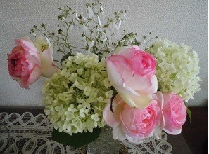 f:id:cangael:20170602134038j:image:right