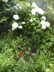f:id:cangael:20170616051718j:image:left f:id:cangael:20170616051718j:image:left