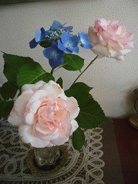 f:id:cangael:20170616083243j:image:left