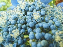 f:id:cangael:20170616141907j:image