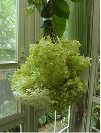 f:id:cangael:20170629160014j:image:right