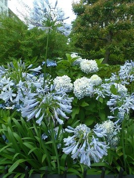 f:id:cangael:20170706105614j:image