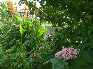 f:id:cangael:20170706144613j:image:right