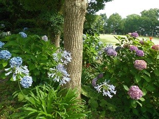 f:id:cangael:20170706150012j:image