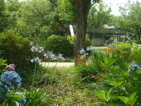 f:id:cangael:20170706150112j:image