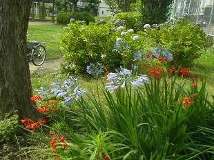 f:id:cangael:20170706150122j:image