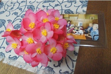 f:id:cangael:20170710131651j:image:left